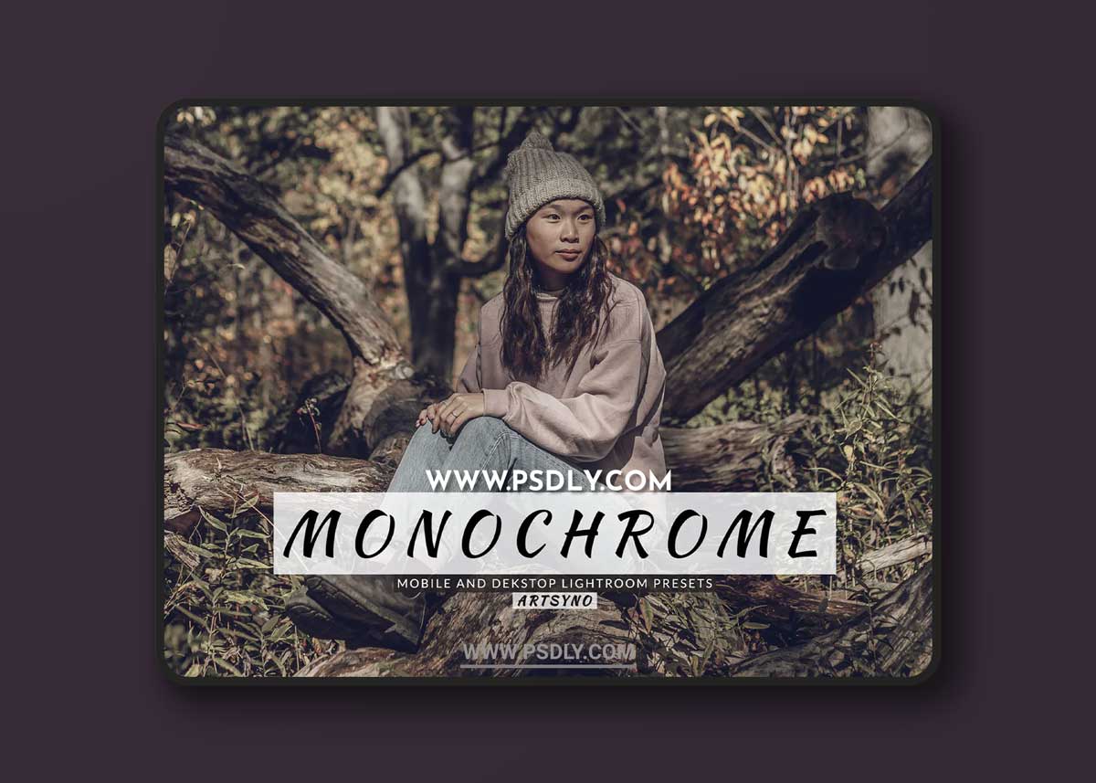 Monochrome Lightroom Presets Dekstop and Mobile