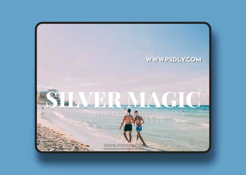 Silver Magic Lightroom Presets Dekstop and Mobile