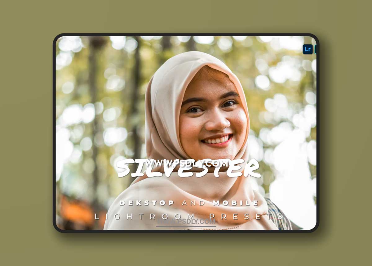 Silvester Desktop and Mobile Lightroom Preset