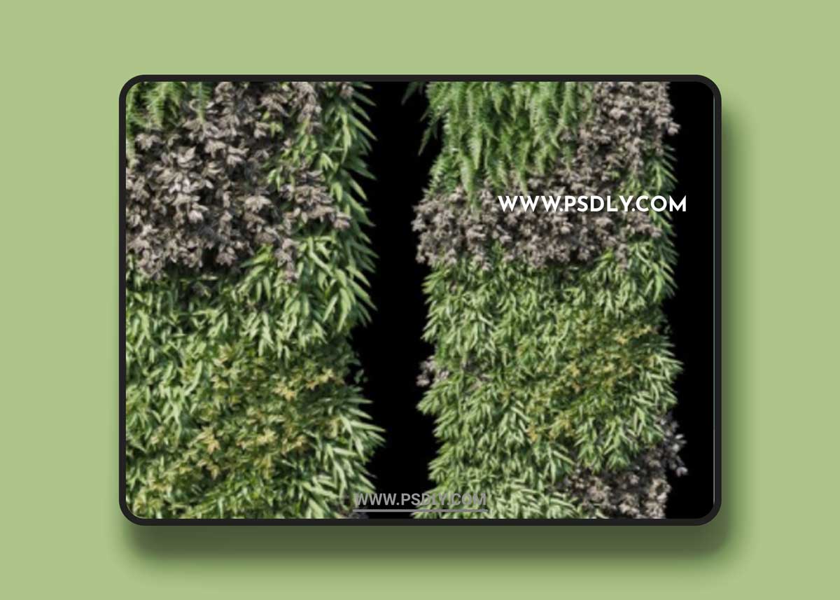 Vertical Garden 20