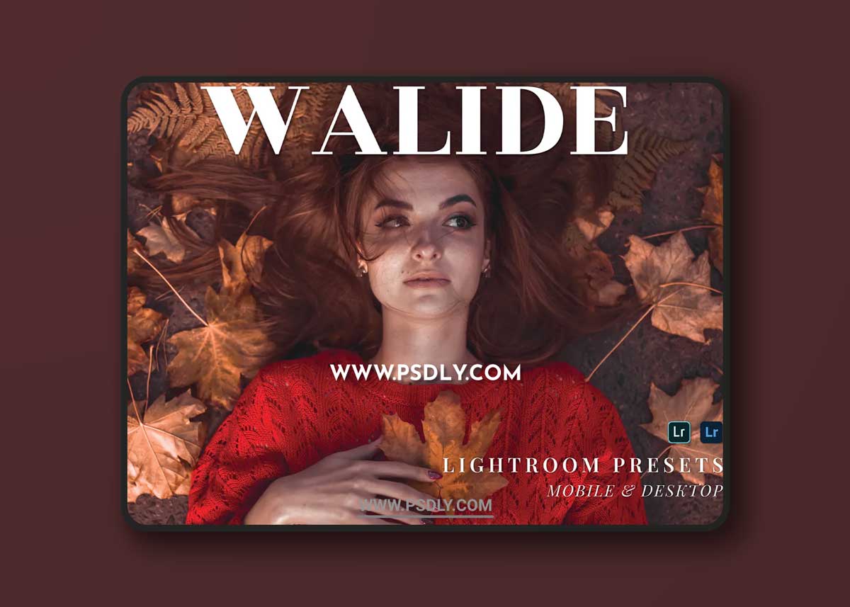 Walide Mobile and Desktop Lightroom Presets