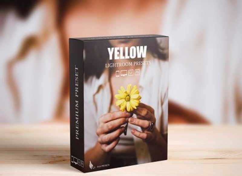 CreativeMarket - Nature Yellow Lightroom Presets 6487605