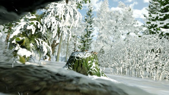 Videohive Winter Forest Nature Logo 29985870