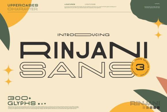 Rinjani Sans Font