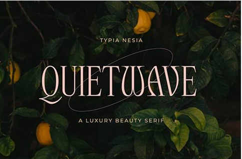 CM - Quitewave Serif 6676159