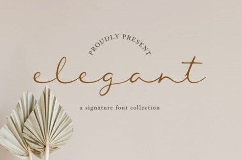 Elegant Font