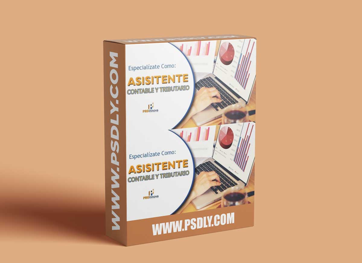 Asistente Contable