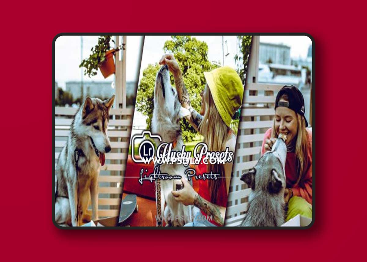 Husky Lightroom Presets Mobile and Desktop