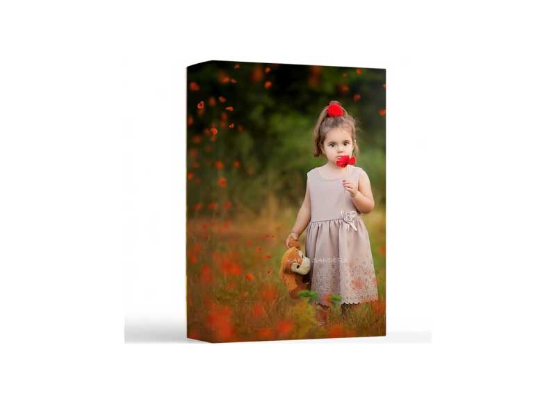Kimla Designs - Wild Poppies Photo Overlays
