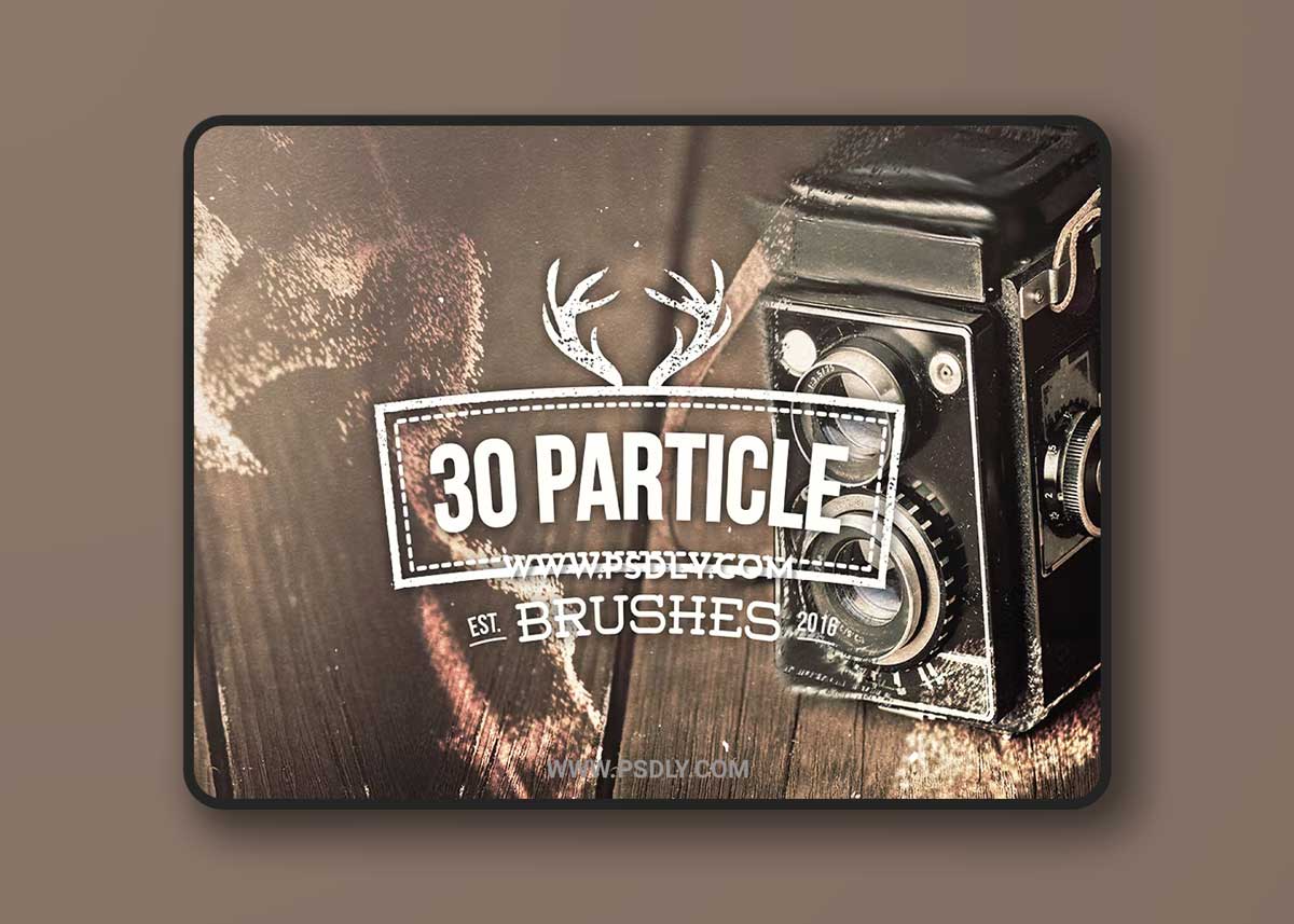 30 Particle Brushes