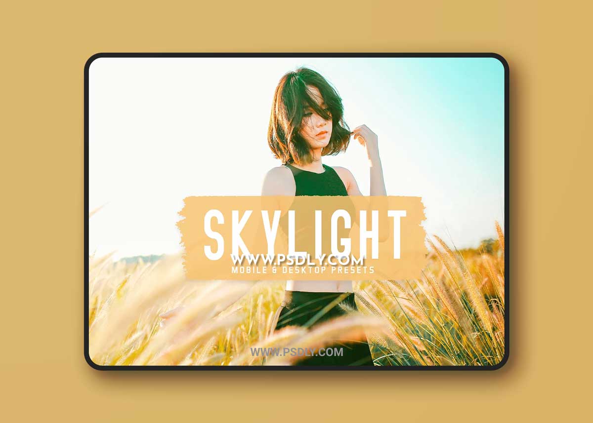 CreativeMarket - Skylight Pro Lightroom Presets 6834951