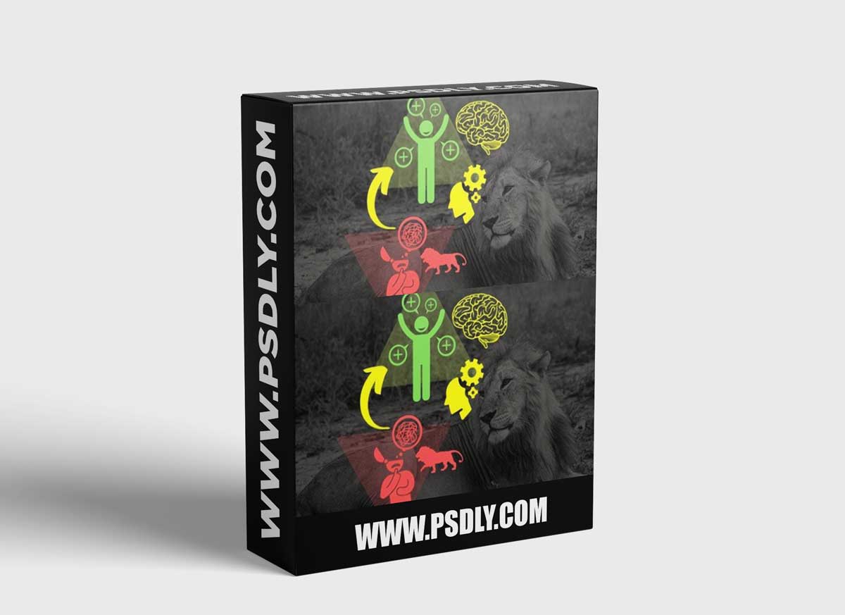 Psychology of Stress: Understand to Leverage & Lower Stress