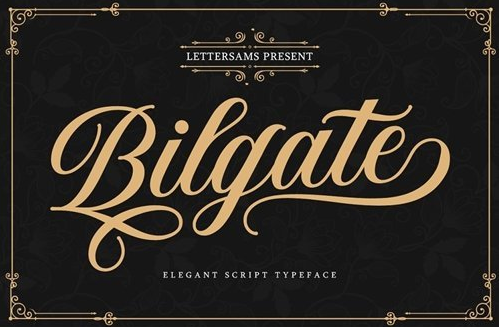 Bilgate Script 4772020