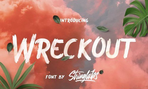 Wreckout - Decorative Brush Font 4431395