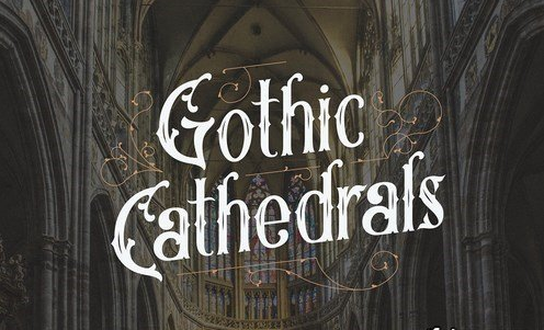 CM - Artisocrat 5037390