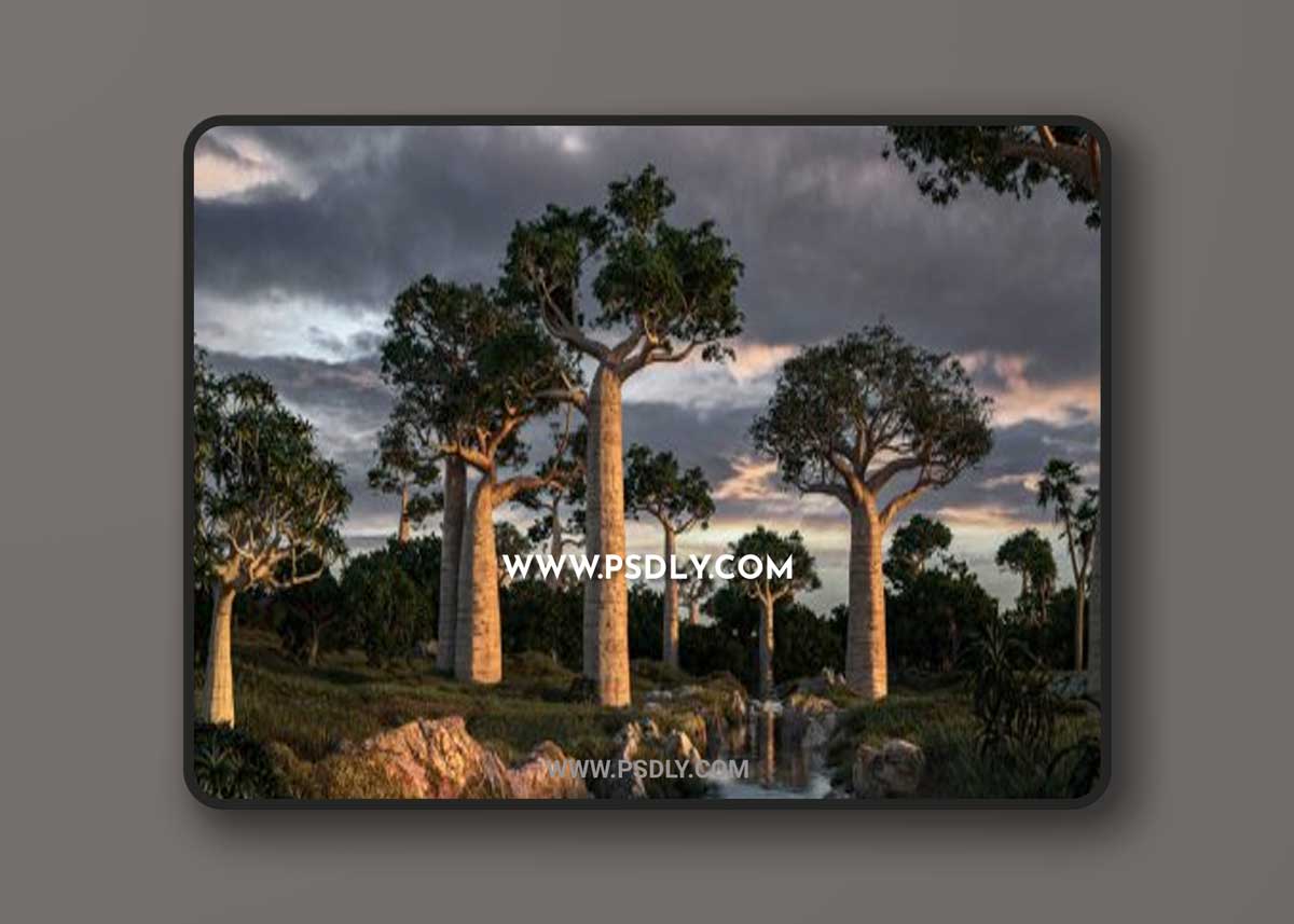 Maxtree - Plant Models Vol. 41 Version 1.0