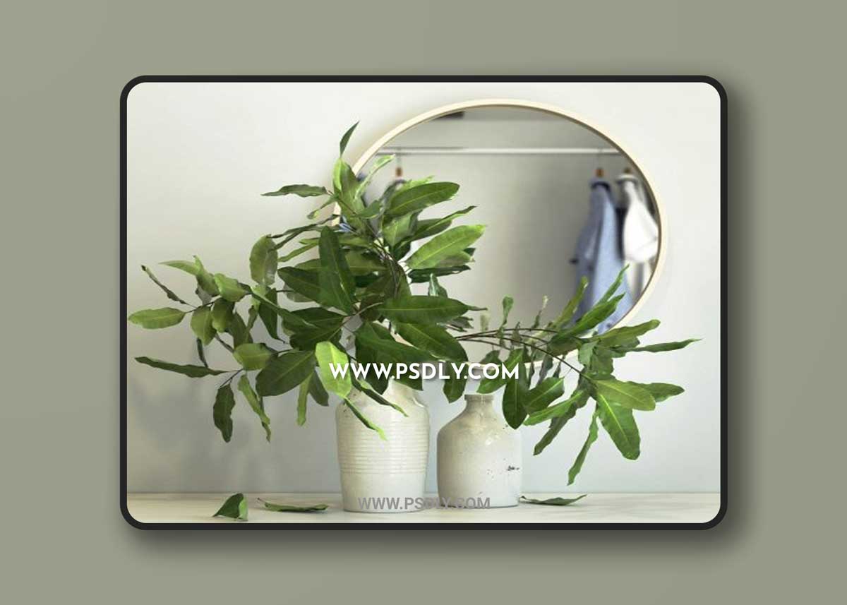 Plants collection 097 3D Model