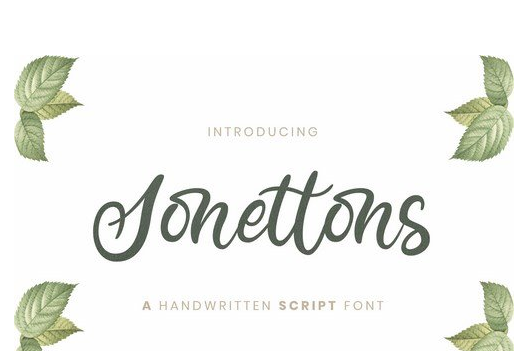 Sonettons Handwritten Script