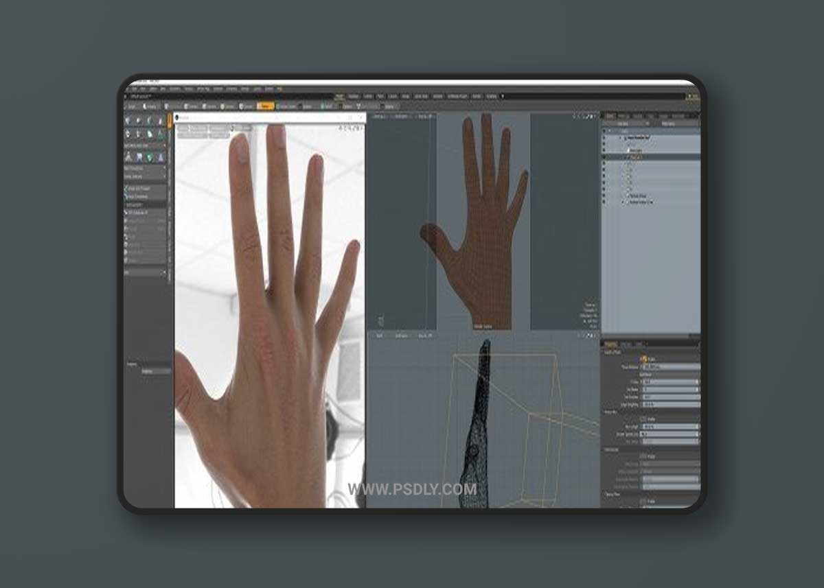 3D Scan Store - Ultimate Male Hands Pack 3D Model