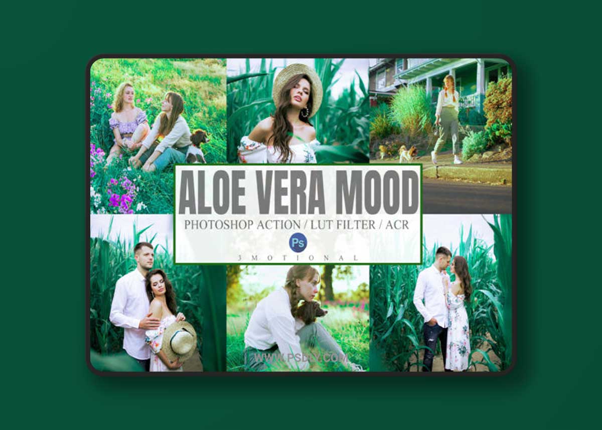 Aloe Vera Mood Photoshop Actions, LUTs