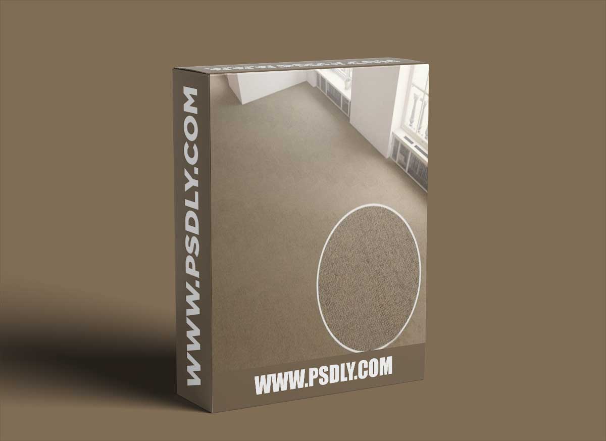 Carpet covering 196 3D Models