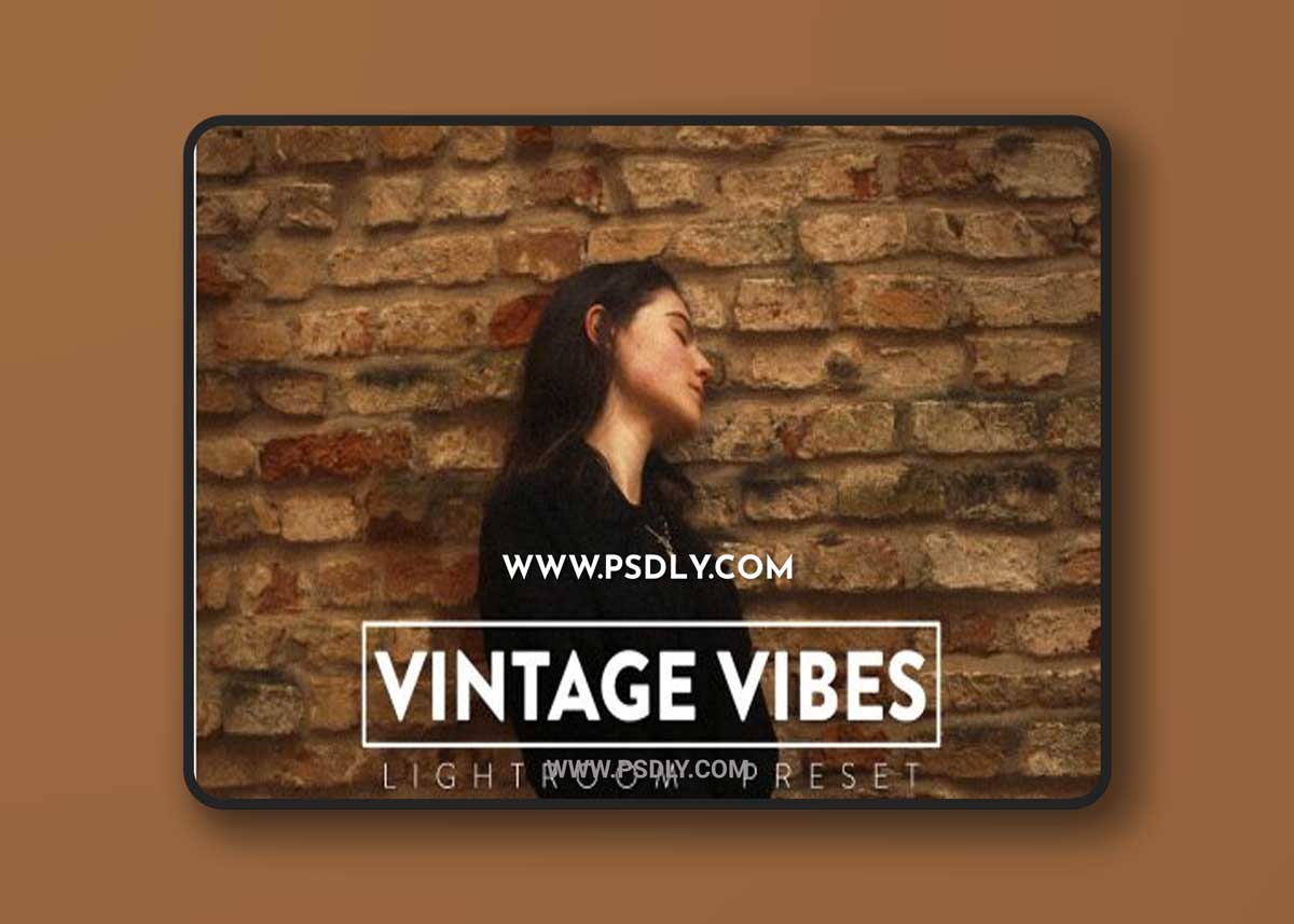 CreativeMarket - 10 Vintage Vibes Lightroom Presets 7017699