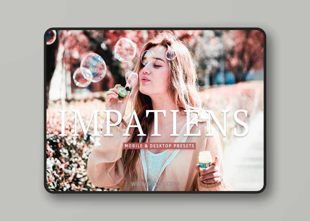 CreativeMarket - Impatiens Pro Lightroom Presets 7039672