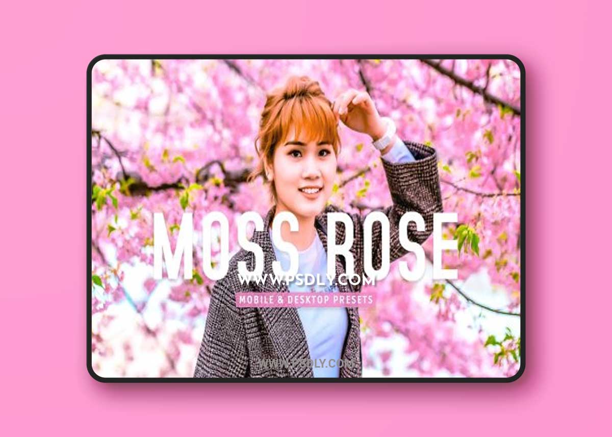 CreativeMarket - Moss Rose Pro Lightroom Presets 7075193