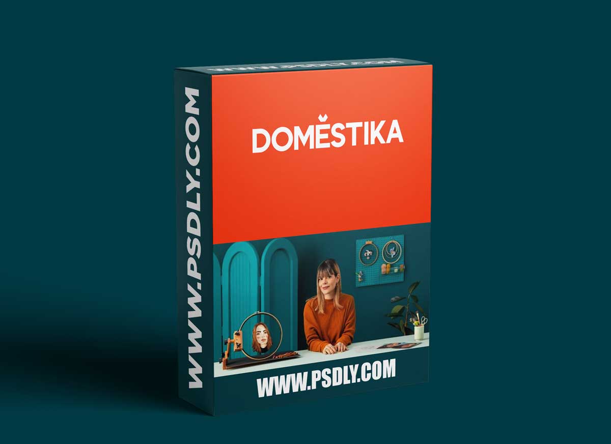 Domestika - Embroidered Portraits on Tulle by Elo (Saturno Rosa)