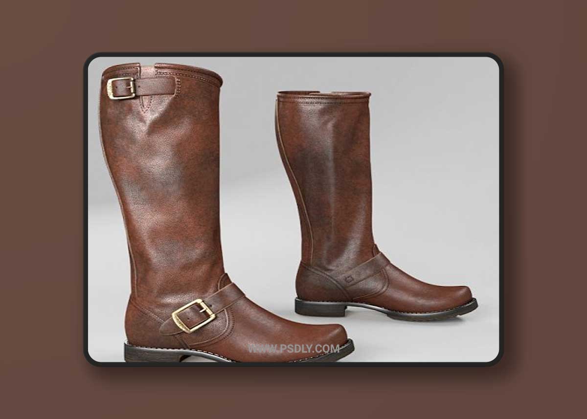 Frye Veronica Slouch, Womens Boots 3D Model