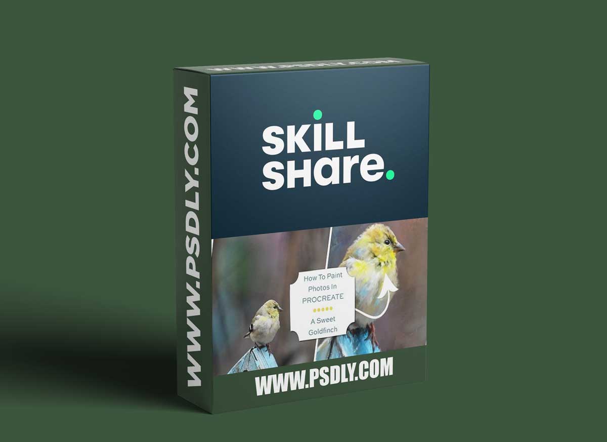 How To Paint Photos In Procreate: A Sweet Goldfinch