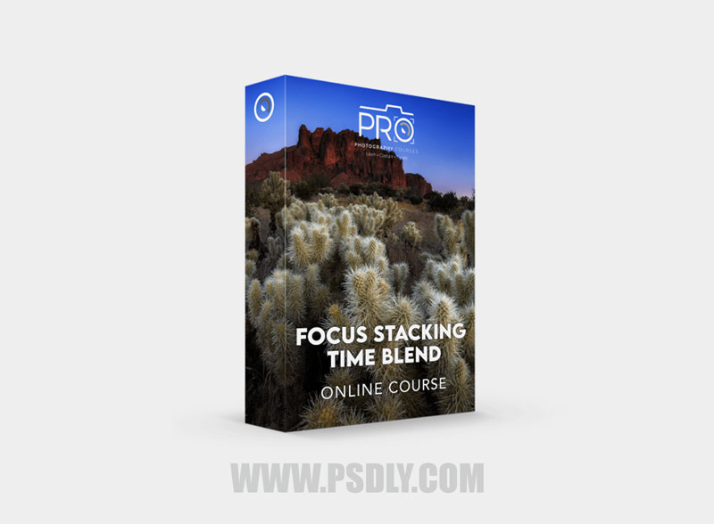 John Weatherby - Focus Stacking Time Blend