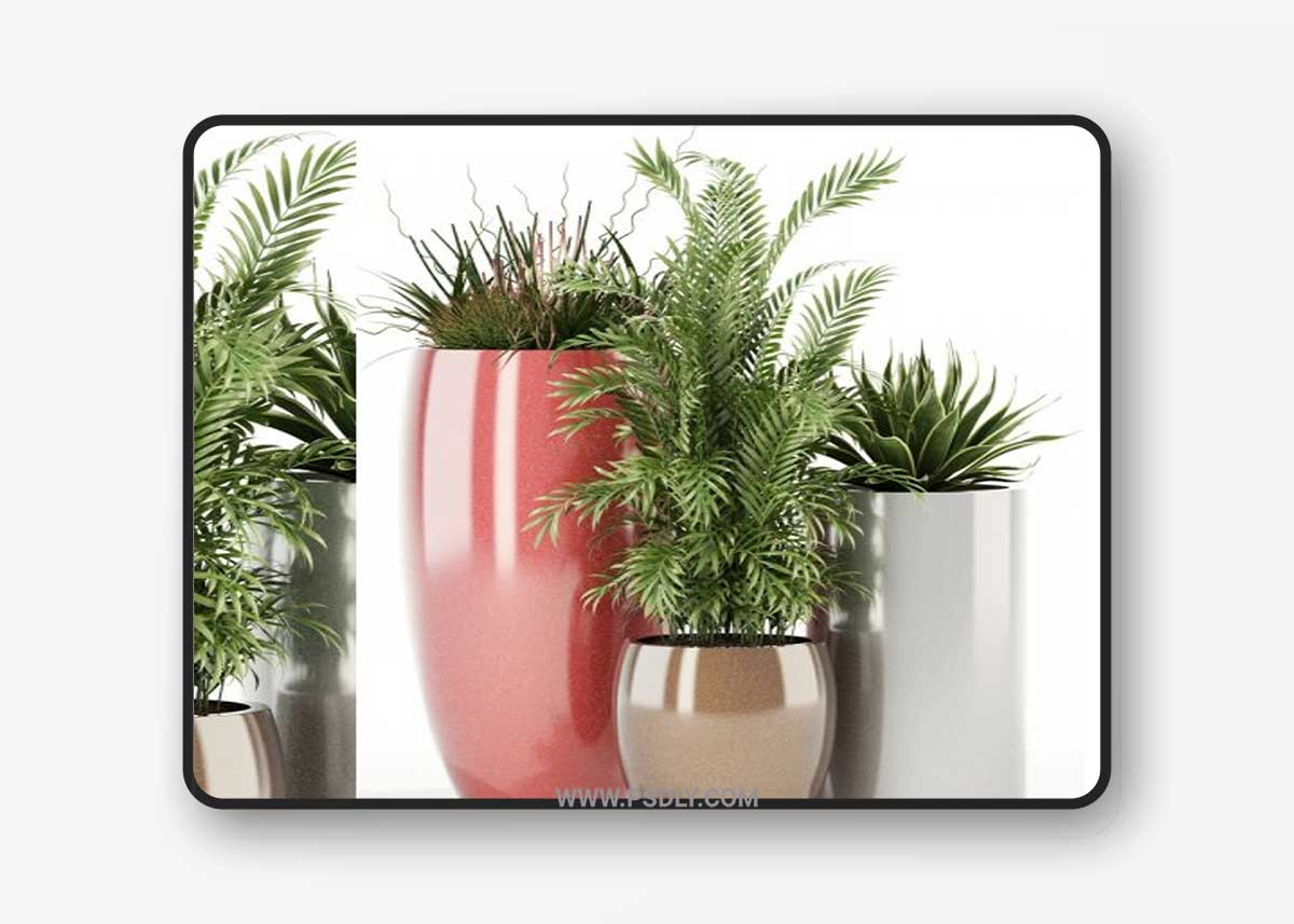 Plants collection 100 3D Model