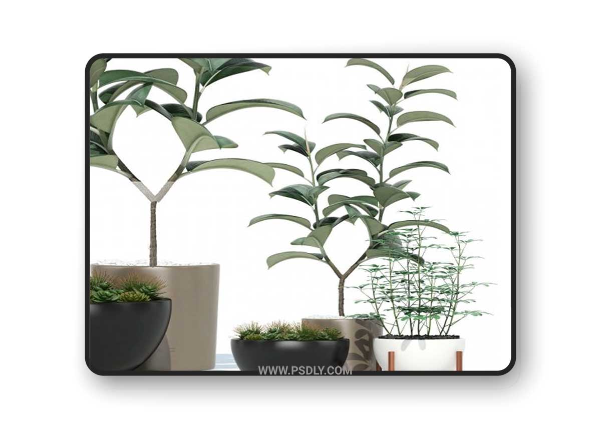 Plants collection 73 Modernica pots