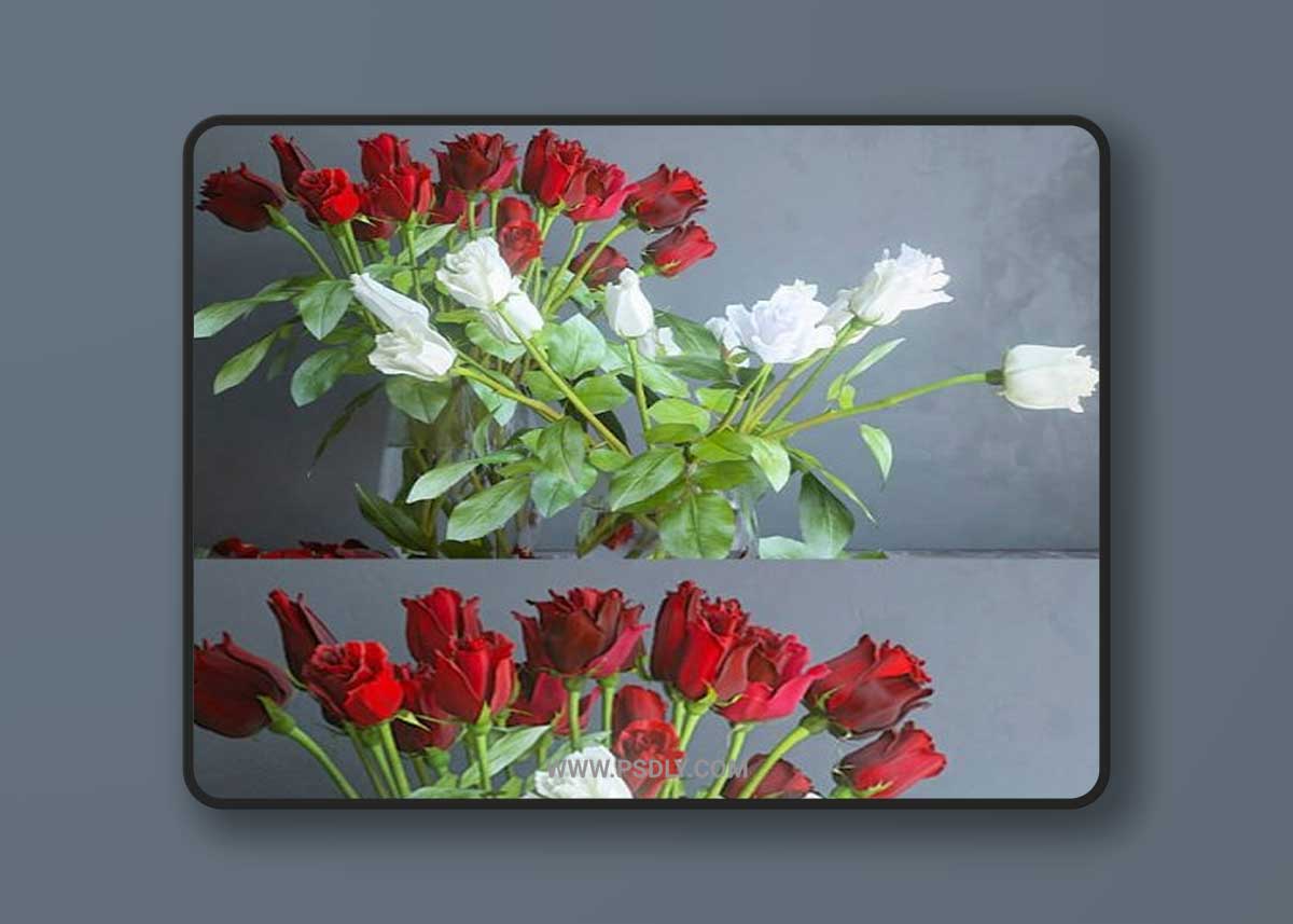 Red and white roses 3D Model