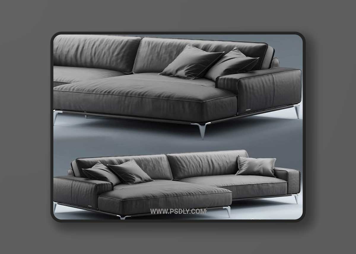 Rochebobois Sofa Dange Ellica 3D Model