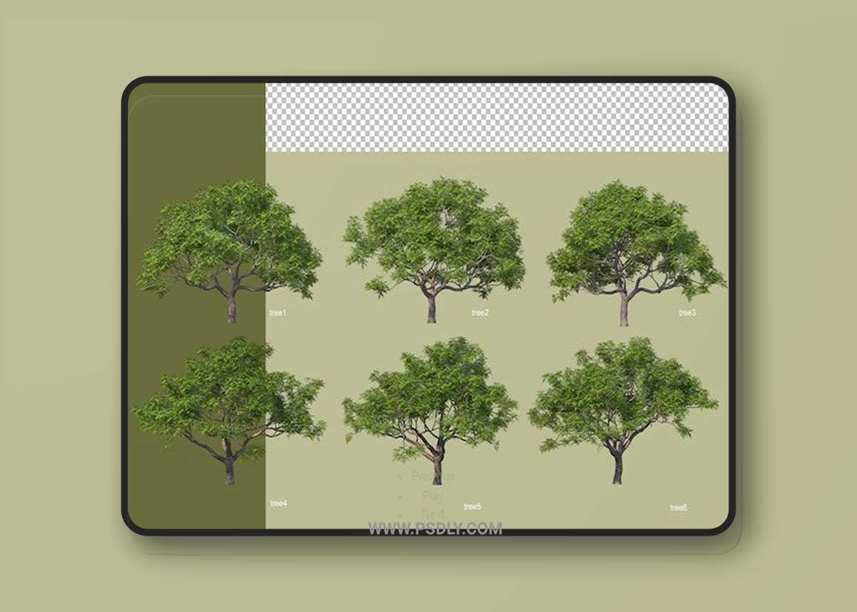 3d rendering of various tree design isolated 3D Model