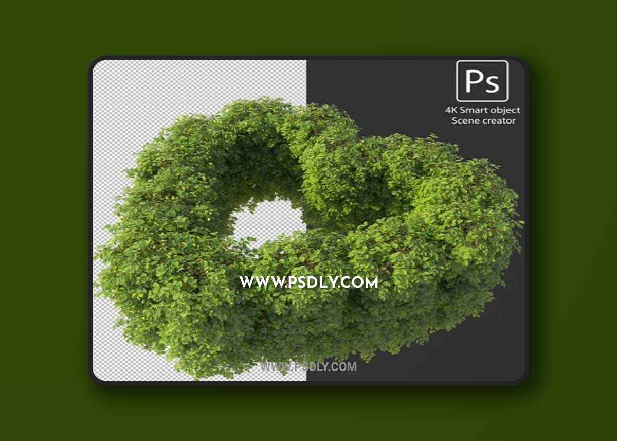 3d rendering various types of bush and hedges 04