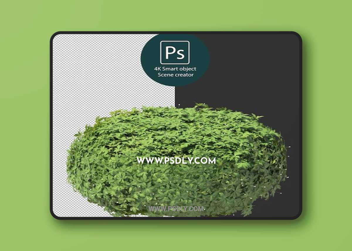 3d rendering various types of bush and hedges