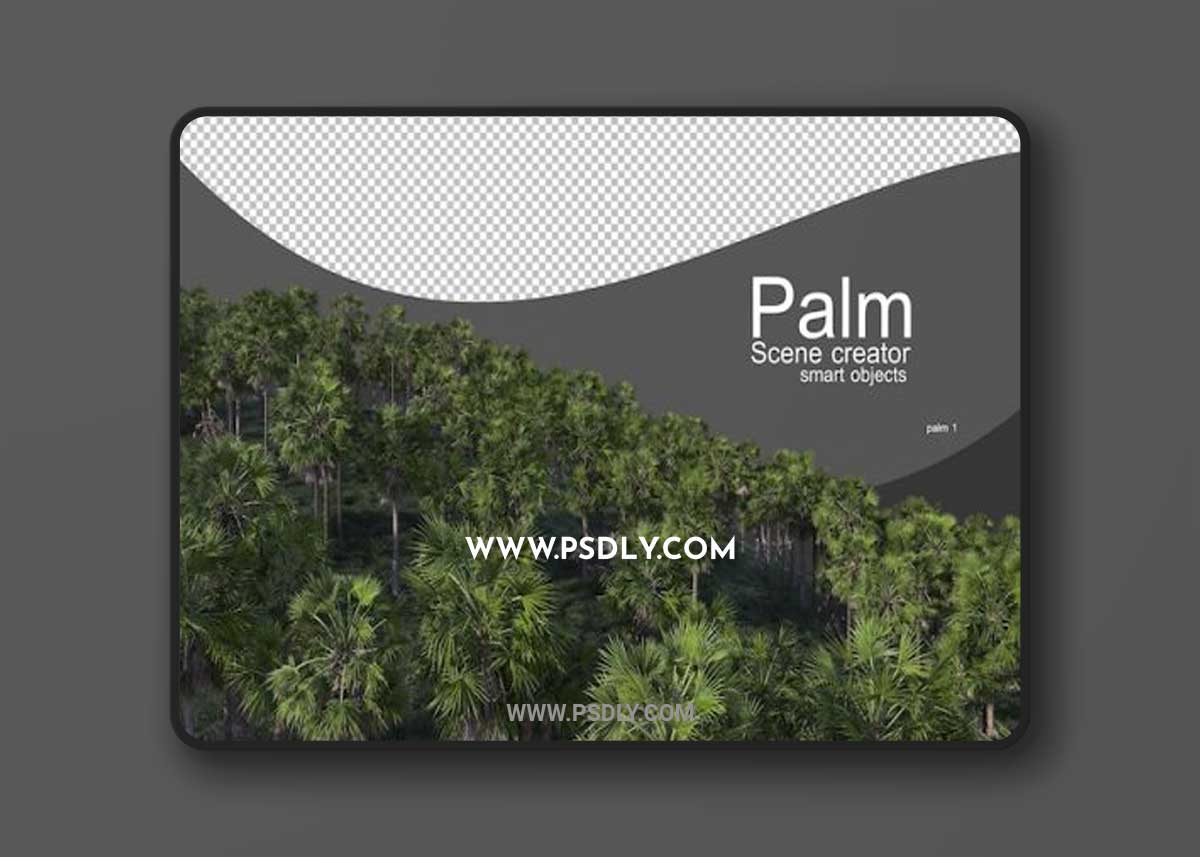 A variety of palm trees 3D Model