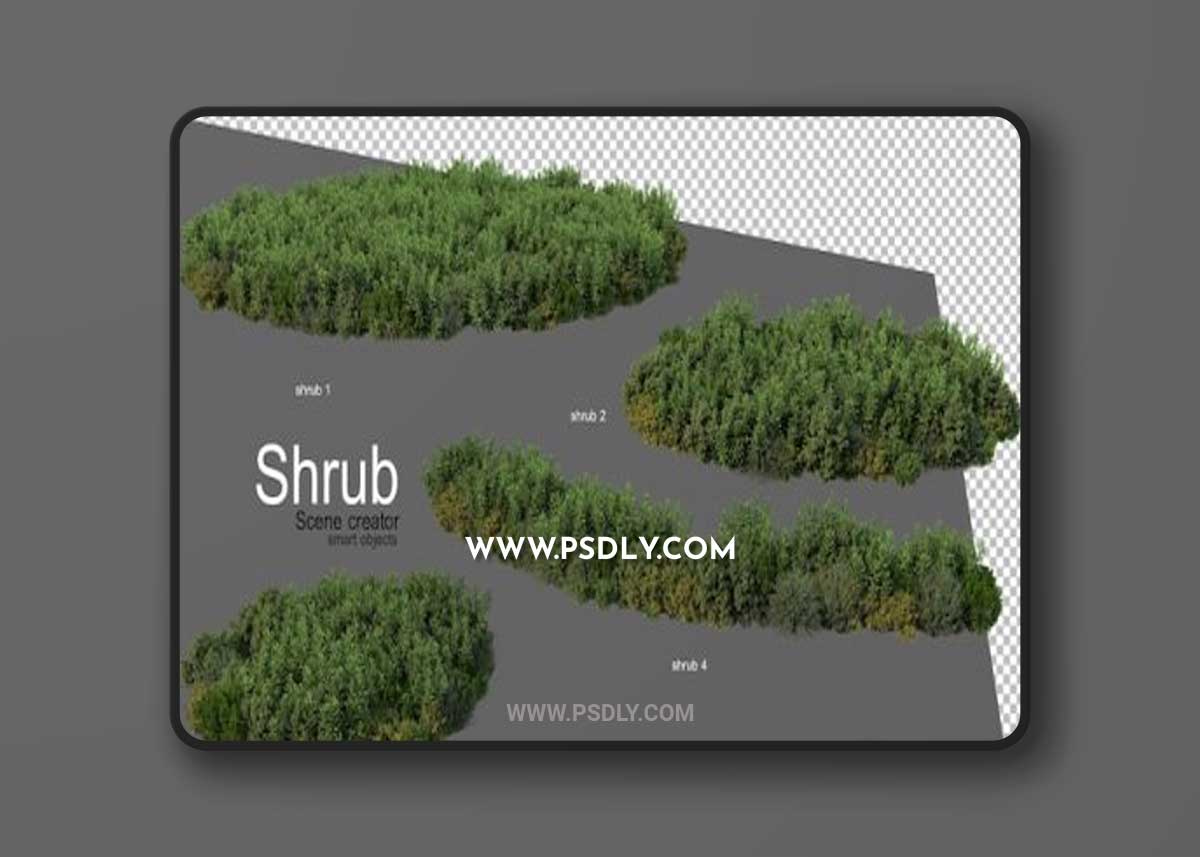 Beautiful variety of shrubs 3D Model