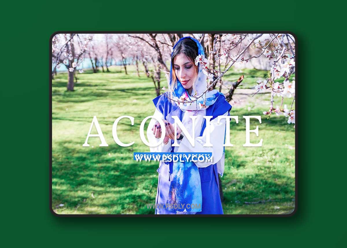 CreativeMarket - Aconite Pro Lightroom Presets 7174293