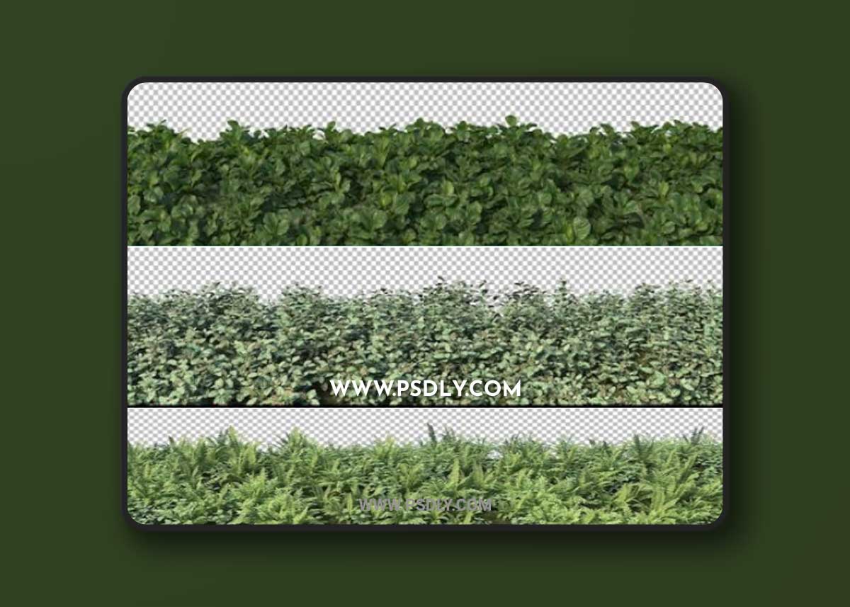 Different sizes of plants 01 3D Model