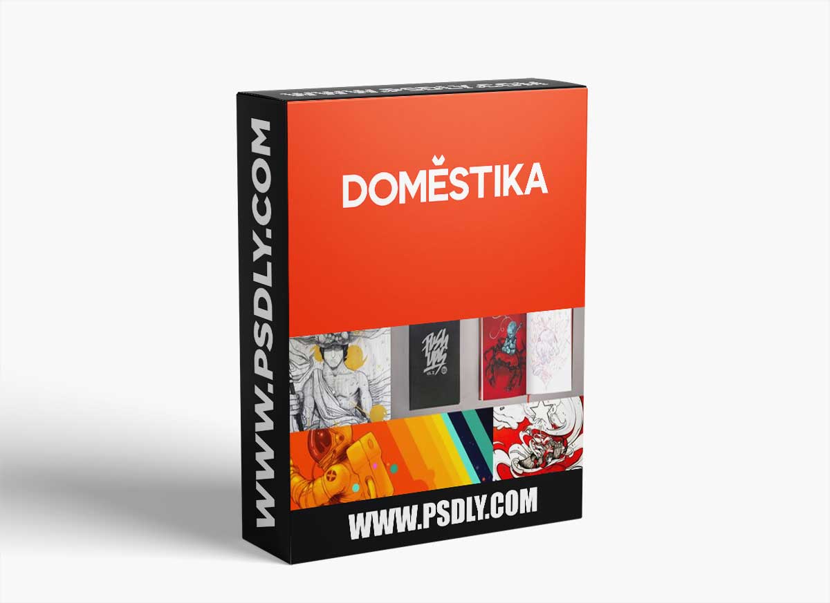 Domestika - Artist's Sketchbook for Illustration Projects