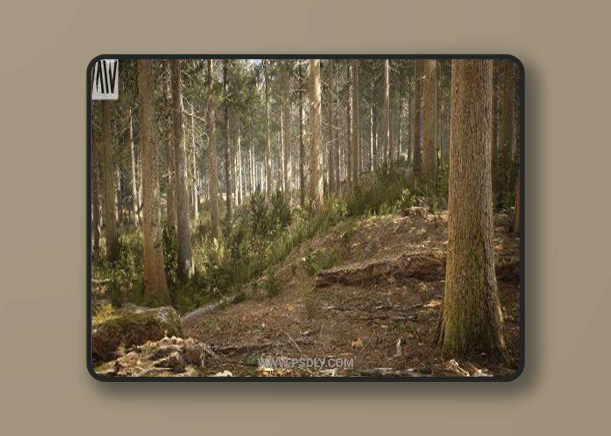 MW Conifer Trees Forest Biome 3D Model