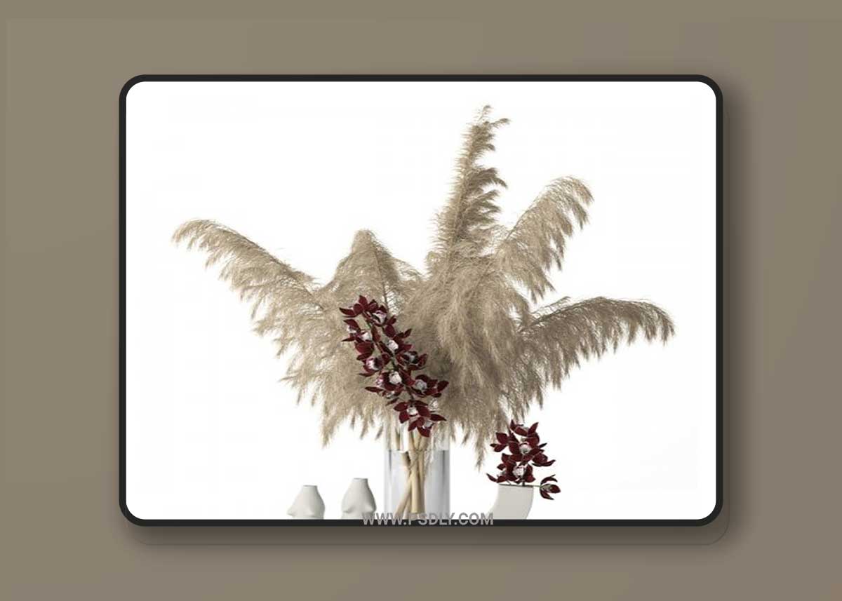 Pampas grass and Cymbidium 3D Model