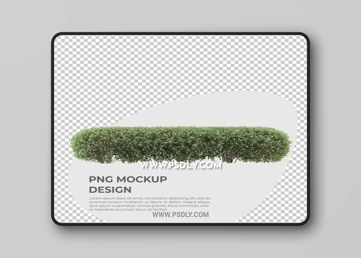 Plant isolated decoration 3D Model