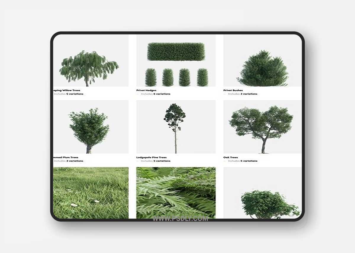 Polyget - Complete Foliage Collection 3D Model
