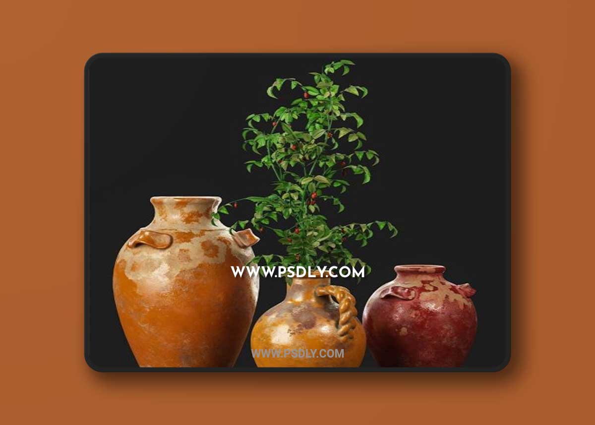 Pottery Barn Sicily terra cotta vases