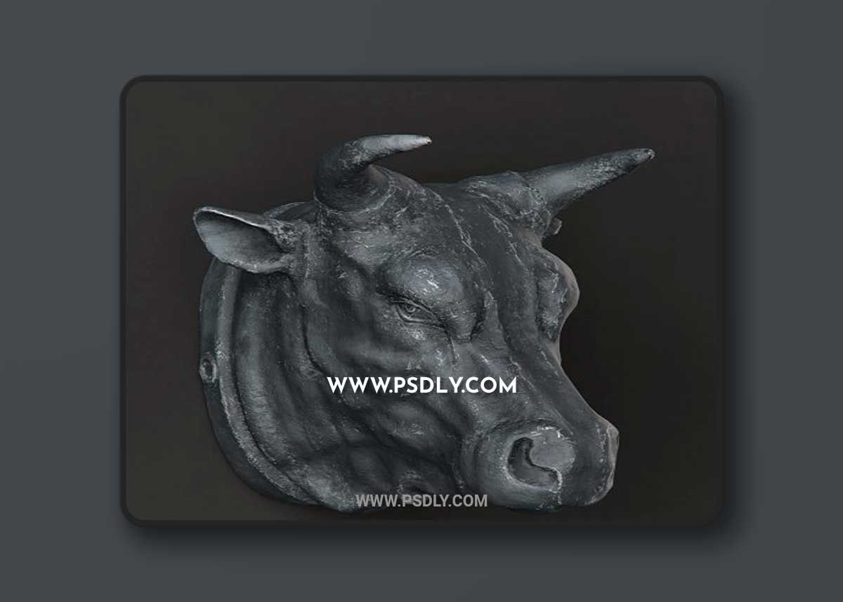 RH Circa 1900 cast metal bull's head 3D Models